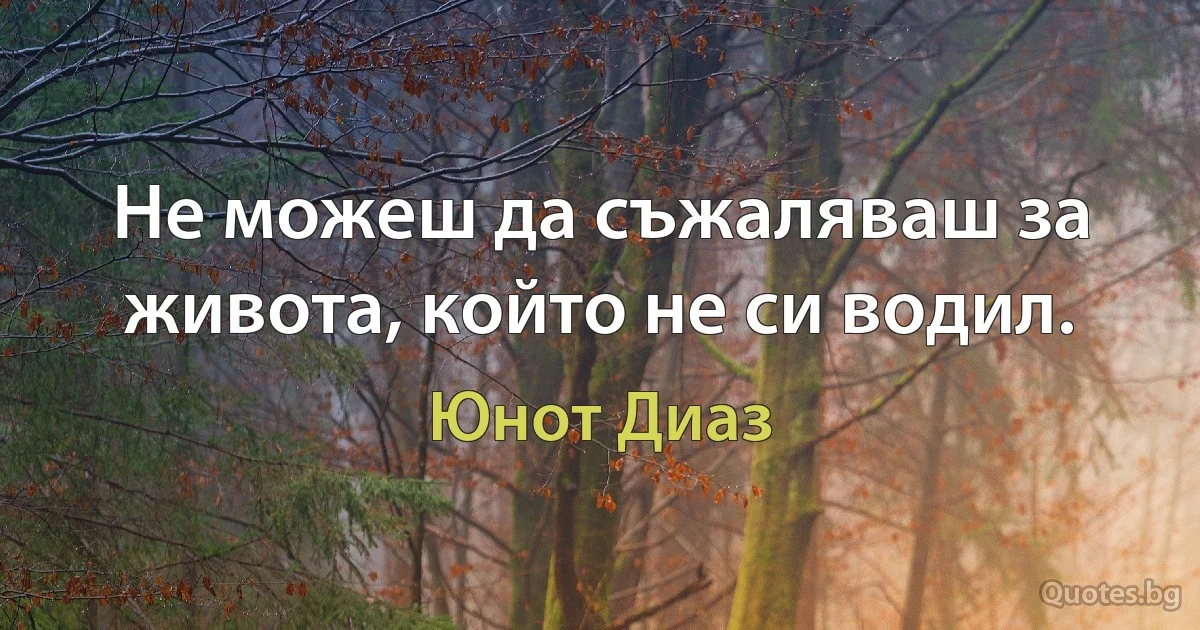 Не можеш да съжаляваш за живота, който не си водил. (Юнот Диаз)