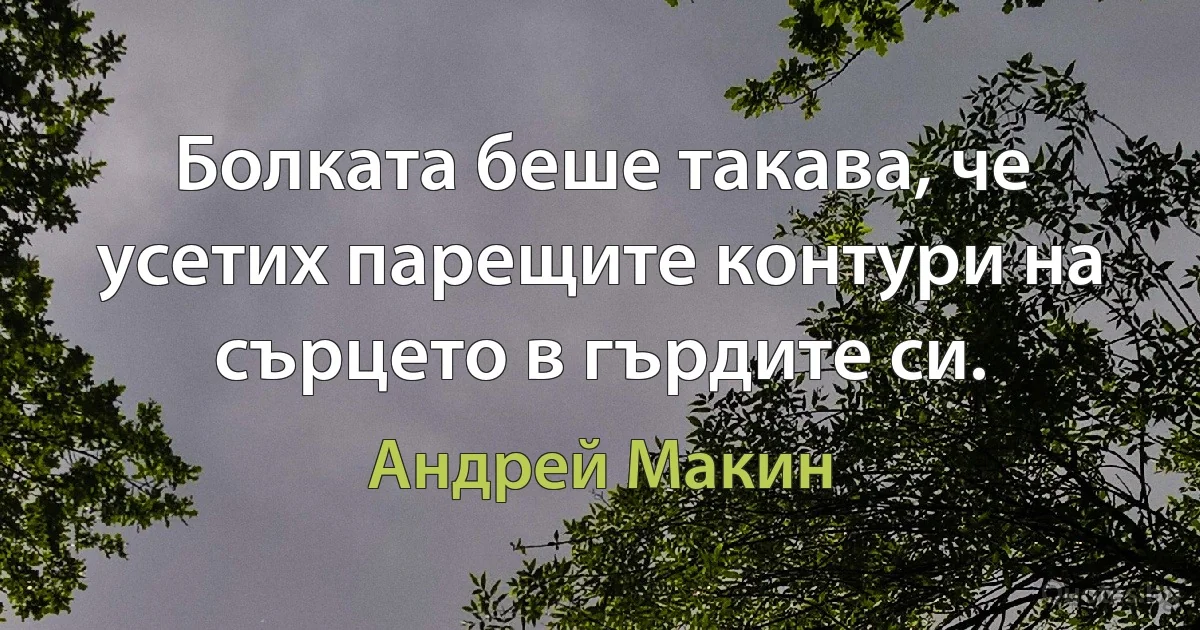 Болката беше такава, че усетих парещите контури на сърцето в гърдите си. (Андрей Макин)