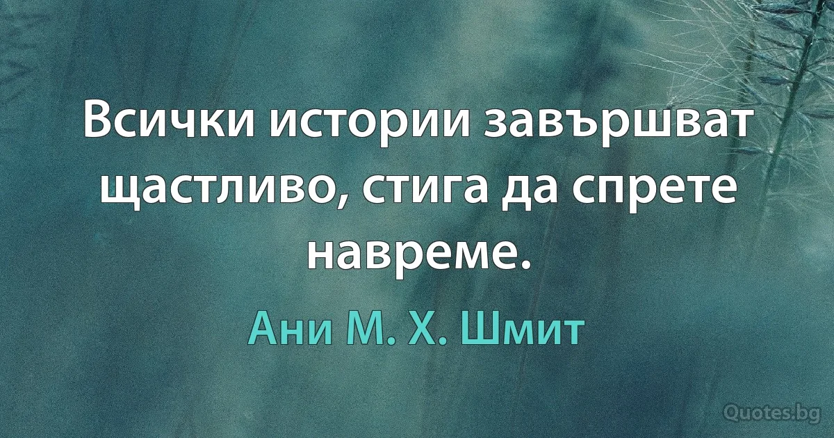 Всички истории завършват щастливо, стига да спрете навреме. (Ани М. Х. Шмит)