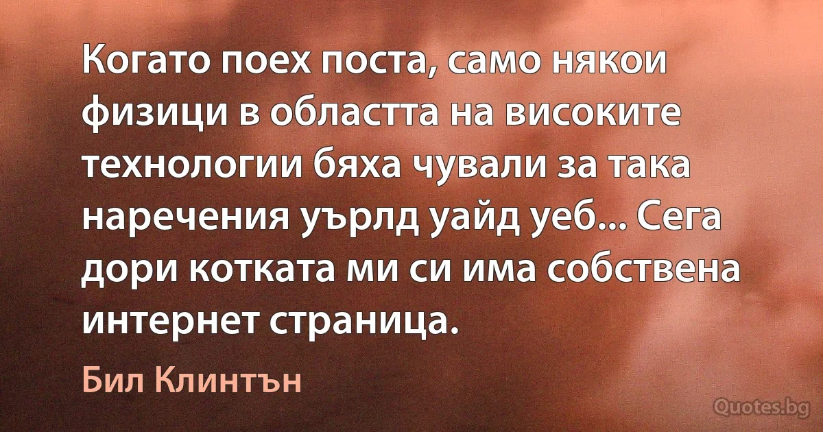 Когато поех поста, само някои физици в областта на високите технологии бяха чували за така наречения уърлд уайд уеб... Сега дори котката ми си има собствена интернет страница. (Бил Клинтън)