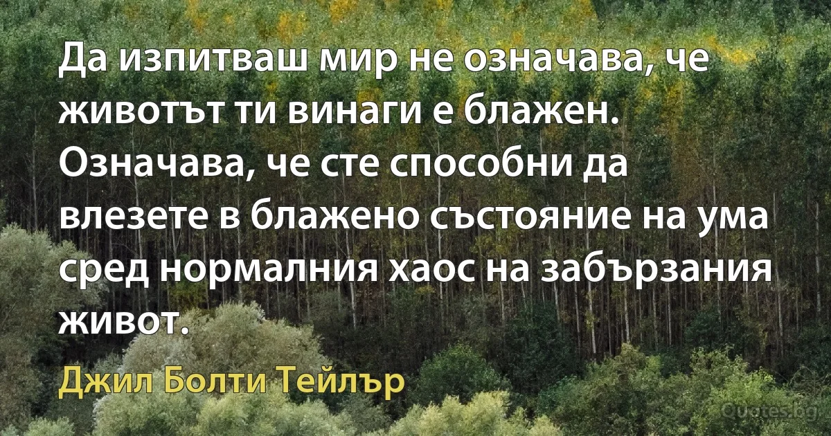 Да изпитваш мир не означава, че животът ти винаги е блажен. Означава, че сте способни да влезете в блажено състояние на ума сред нормалния хаос на забързания живот. (Джил Болти Тейлър)