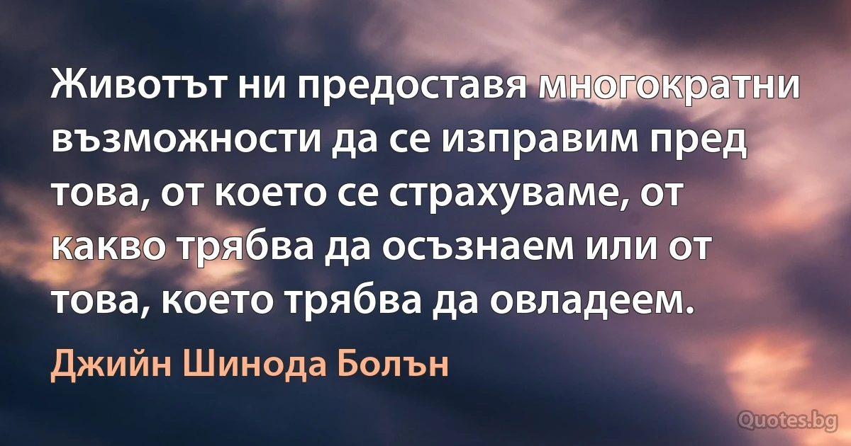 Животът ни предоставя многократни възможности да се изправим пред това, от което се страхуваме, от какво трябва да осъзнаем или от това, което трябва да овладеем. (Джийн Шинода Болън)