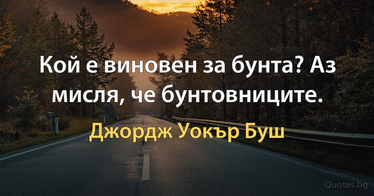 Кой е виновен за бунта? Аз мисля, че бунтовниците. (Джордж Уокър Буш)