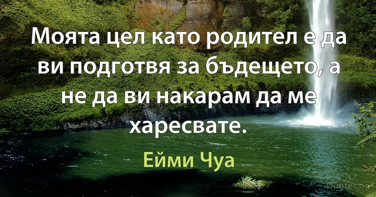 Моята цел като родител е да ви подготвя за бъдещето, а не да ви накарам да ме харесвате. (Ейми Чуа)