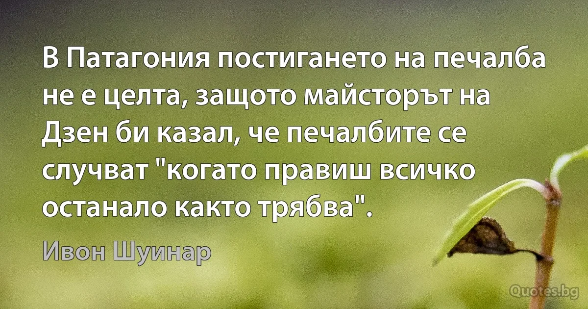 В Патагония постигането на печалба не е целта, защото майсторът на Дзен би казал, че печалбите се случват "когато правиш всичко останало както трябва". (Ивон Шуинар)