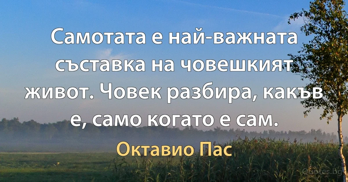 Самотата е най-важната съставка на човешкият живот. Човек разбира, какъв е, само когато е сам. (Октавио Пас)