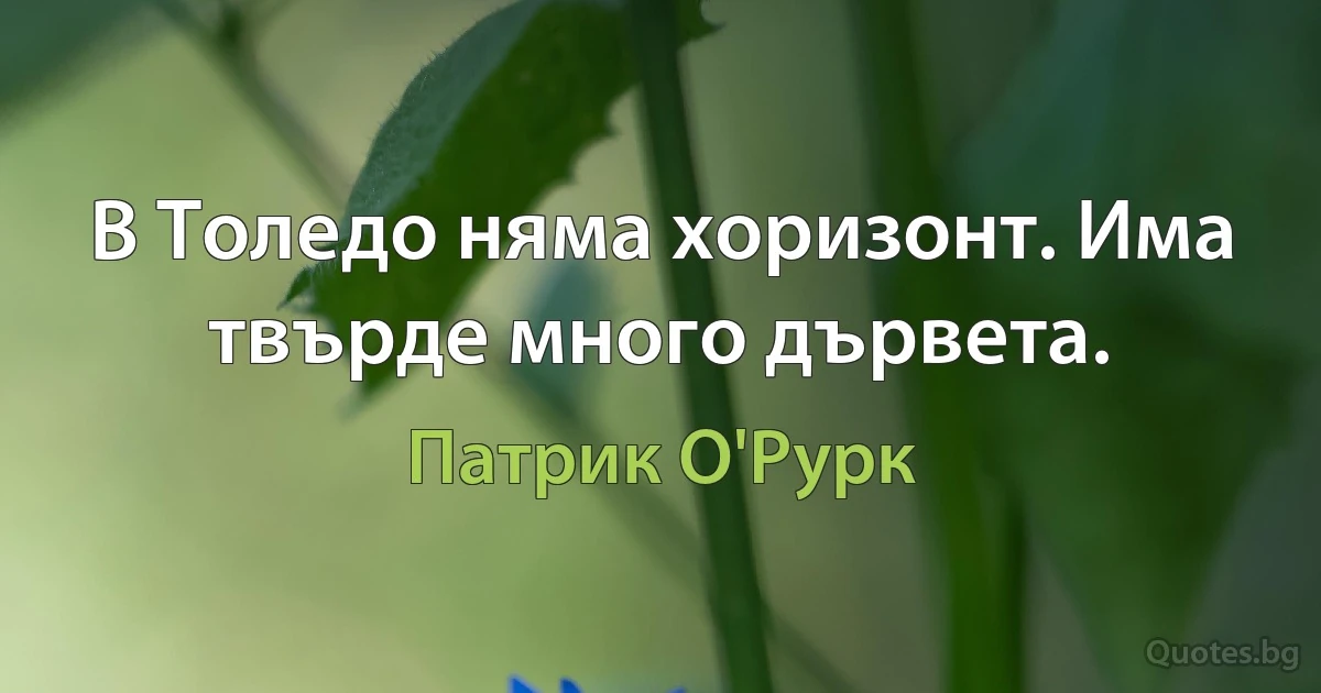 В Толедо няма хоризонт. Има твърде много дървета. (Патрик О'Рурк)