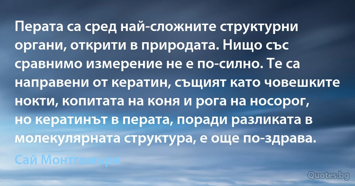 Перата са сред най-сложните структурни органи, открити в природата. Нищо със сравнимо измерение не е по-силно. Те са направени от кератин, същият като човешките нокти, копитата на коня и рога на носорог, но кератинът в перата, поради разликата в молекулярната структура, е още по-здрава. (Сай Монтгомъри)