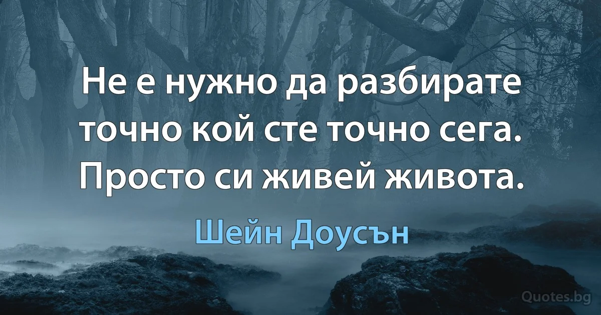 Не е нужно да разбирате точно кой сте точно сега. Просто си живей живота. (Шейн Доусън)