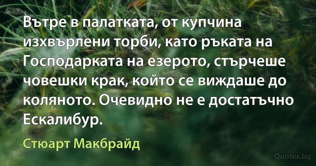 Вътре в палатката, от купчина изхвърлени торби, като ръката на Господарката на езерото, стърчеше човешки крак, който се виждаше до коляното. Очевидно не е достатъчно Ескалибур. (Стюарт Макбрайд)