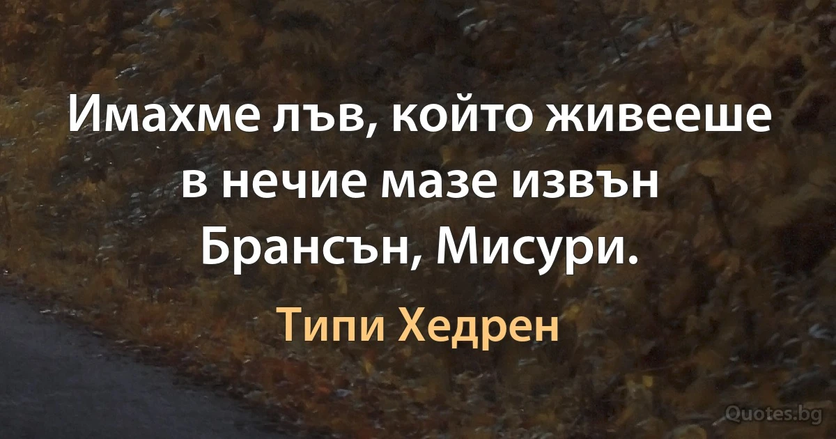 Имахме лъв, който живееше в нечие мазе извън Брансън, Мисури. (Типи Хедрен)