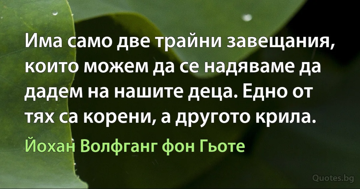 Има само две трайни завещания, които можем да се надяваме да дадем на нашите деца. Едно от тях са корени, а другото крила. (Йохан Волфганг фон Гьоте)