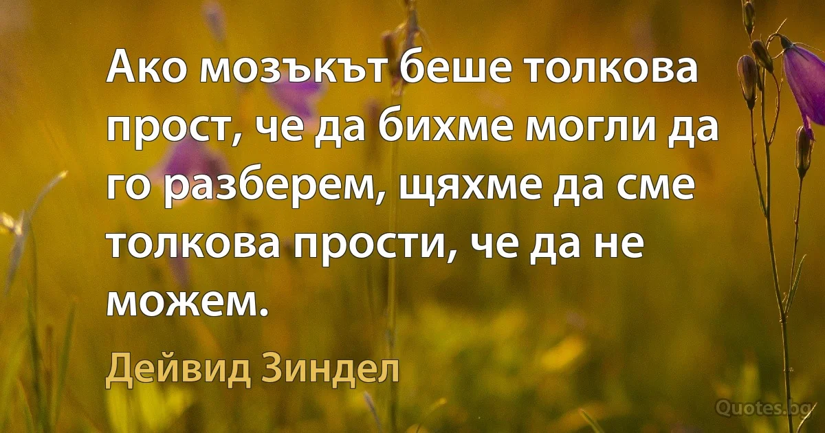 Ако мозъкът беше толкова прост, че да бихме могли да го разберем, щяхме да сме толкова прости, че да не можем. (Дейвид Зиндел)