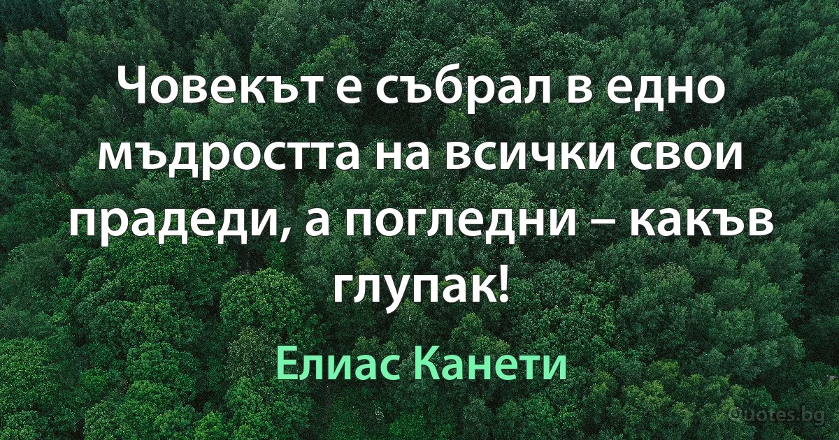 Човекът е събрал в едно мъдростта на всички свои прадеди, а погледни – какъв глупак! (Елиас Канети)