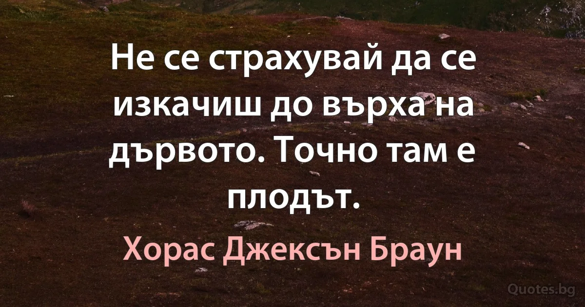 Не се страхувай да се изкачиш до върха на дървото. Точно там е плодът. (Хорас Джексън Браун)