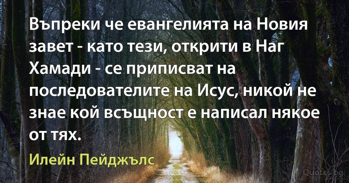 Въпреки че евангелията на Новия завет - като тези, открити в Наг Хамади - се приписват на последователите на Исус, никой не знае кой всъщност е написал някое от тях. (Илейн Пейджълс)