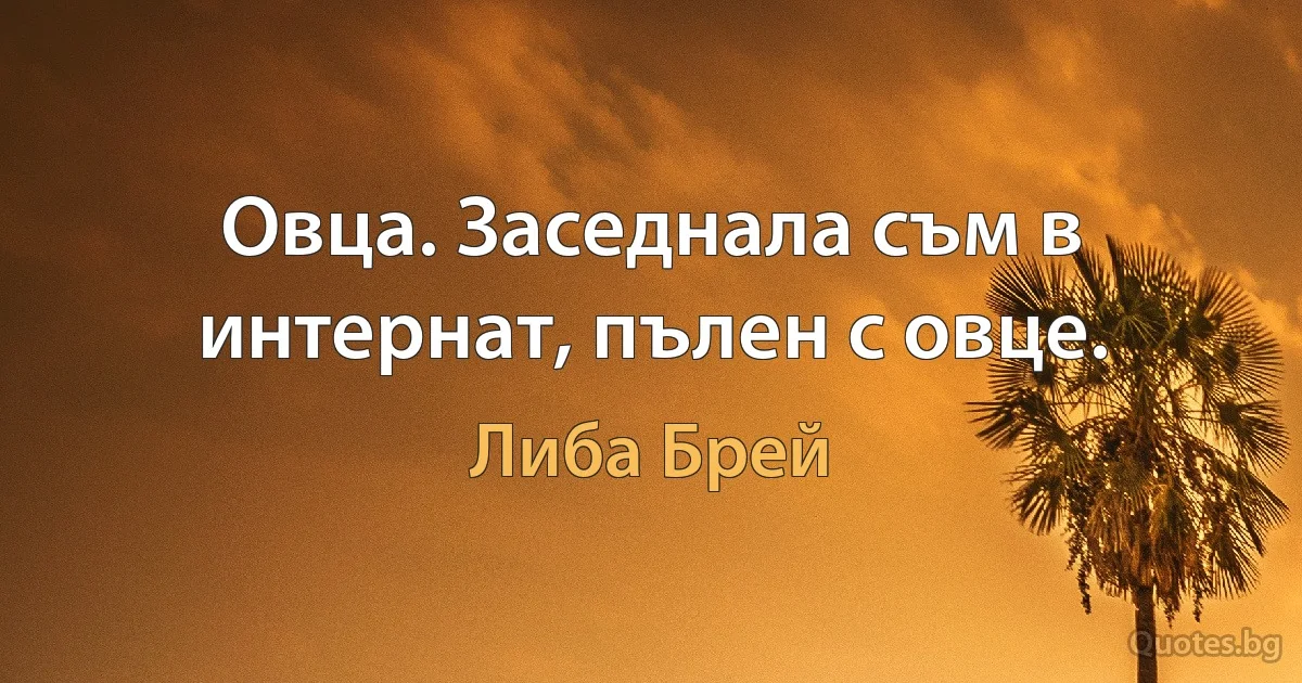 Овца. Заседнала съм в интернат, пълен с овце. (Либа Брей)