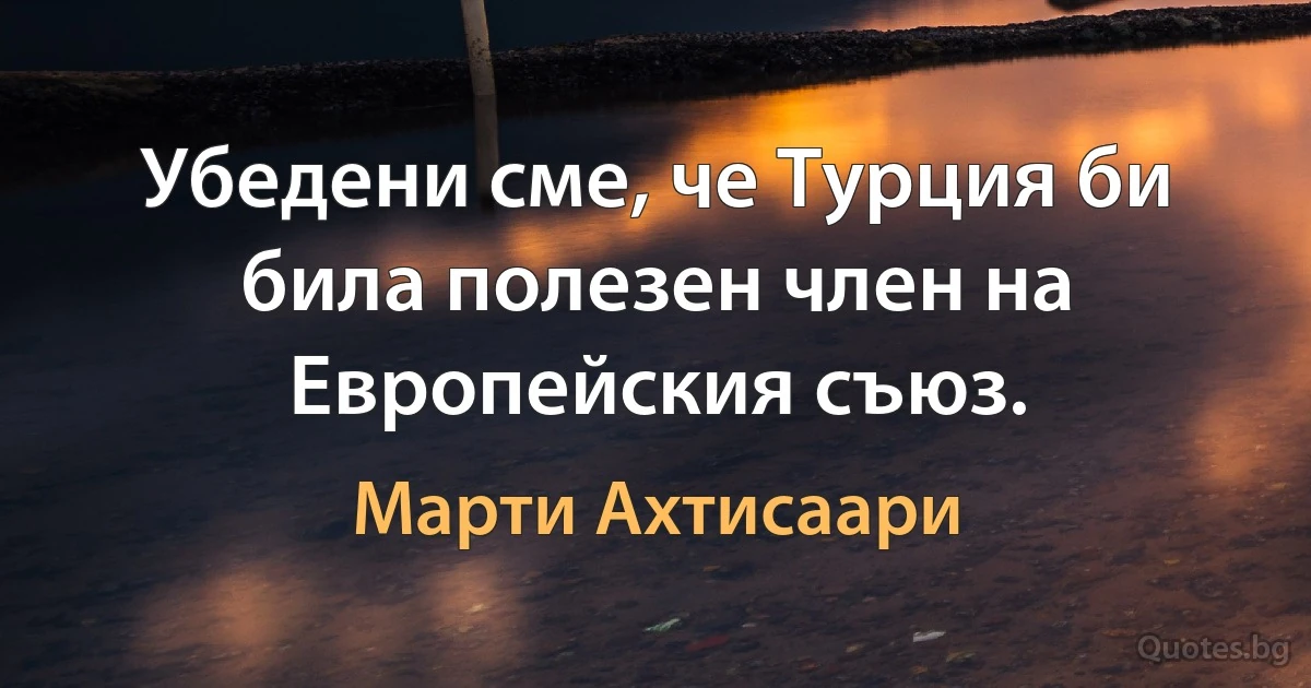 Убедени сме, че Турция би била полезен член на Европейския съюз. (Марти Ахтисаари)