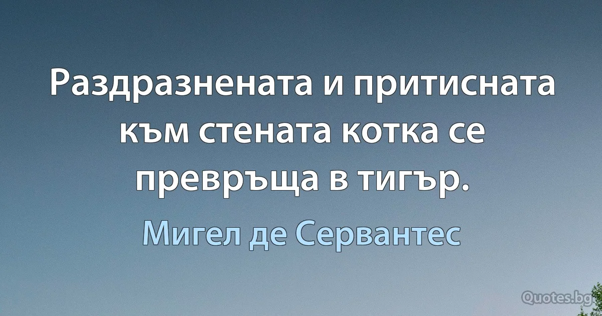 Раздразнената и притисната към стената котка се превръща в тигър. (Мигел де Сервантес)