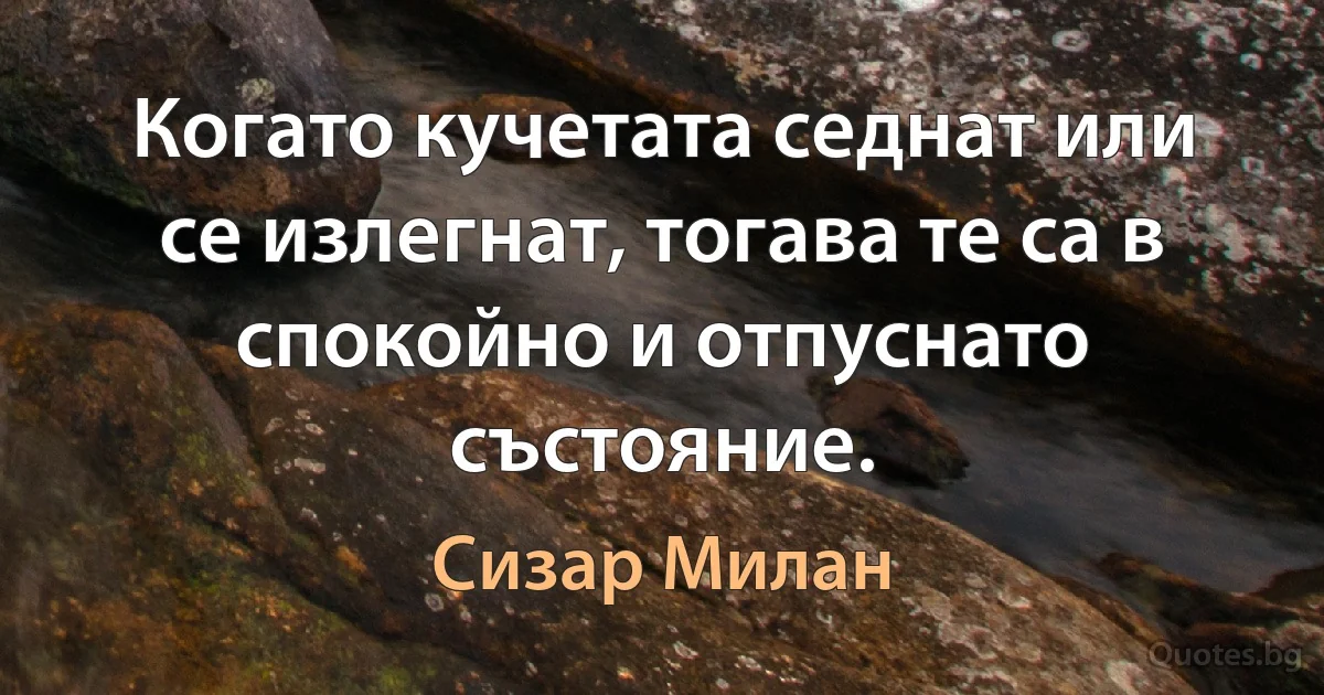 Когато кучетата седнат или се излегнат, тогава те са в спокойно и отпуснато състояние. (Сизар Милан)