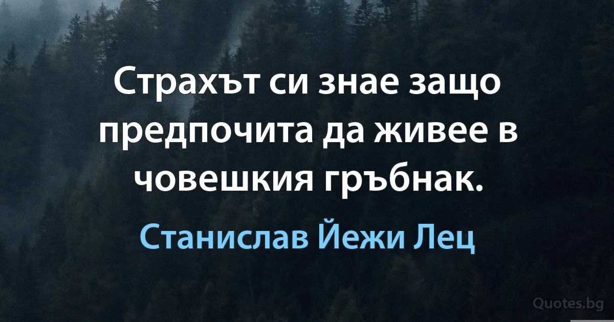 Страхът си знае защо предпочита да живее в човешкия гръбнак. (Станислав Йежи Лец)