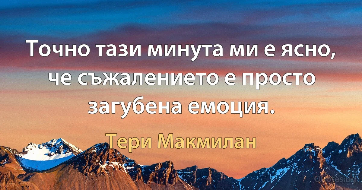 Точно тази минута ми е ясно, че съжалението е просто загубена емоция. (Тери Макмилан)