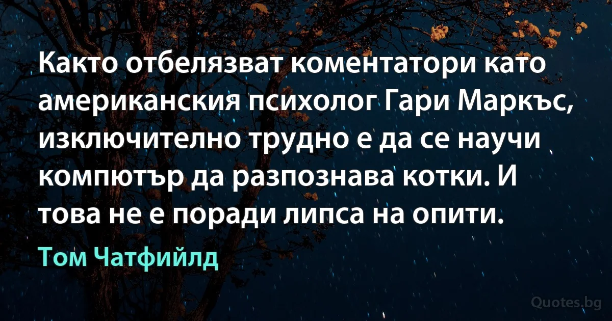 Както отбелязват коментатори като американския психолог Гари Маркъс, изключително трудно е да се научи компютър да разпознава котки. И това не е поради липса на опити. (Том Чатфийлд)