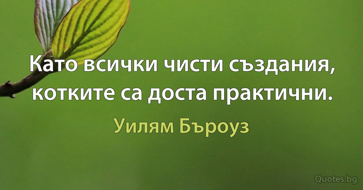 Като всички чисти създания, котките са доста практични. (Уилям Бъроуз)