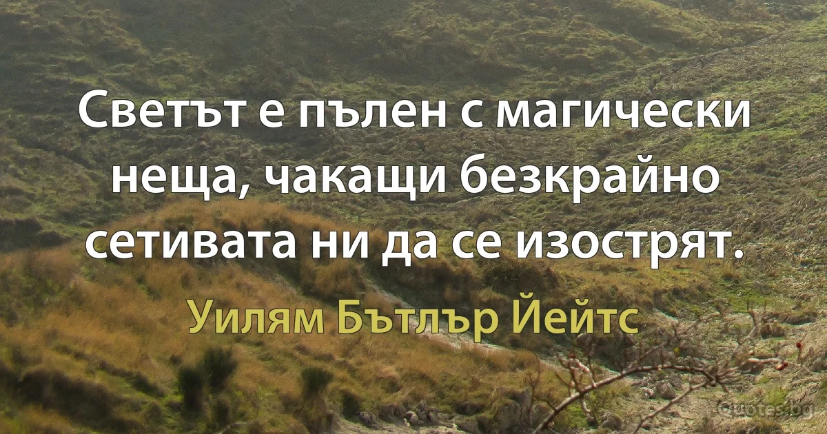 Светът е пълен с магически неща, чакащи безкрайно сетивата ни да се изострят. (Уилям Бътлър Йейтс)