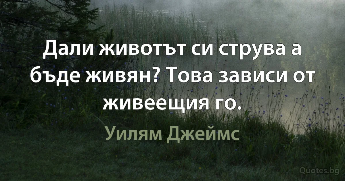 Дали животът си струва а бъде живян? Това зависи от живеещия го. (Уилям Джеймс)