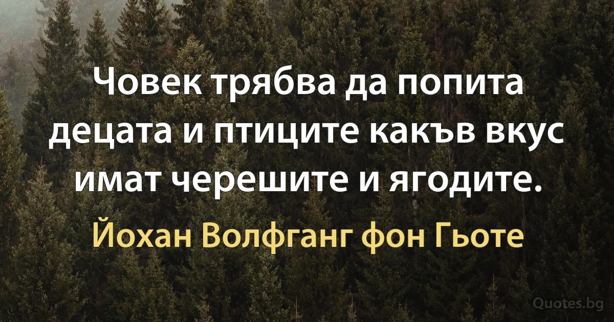 Човек трябва да попита децата и птиците какъв вкус имат черешите и ягодите. (Йохан Волфганг фон Гьоте)