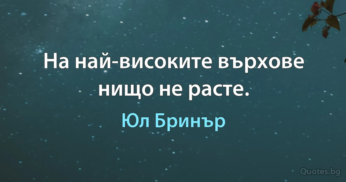 На най-високите върхове нищо не расте. (Юл Бринър)