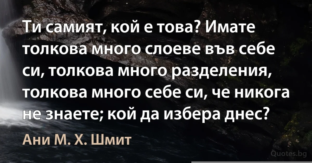 Ти самият, кой е това? Имате толкова много слоеве във себе си, толкова много разделения, толкова много себе си, че никога не знаете; кой да избера днес? (Ани М. Х. Шмит)