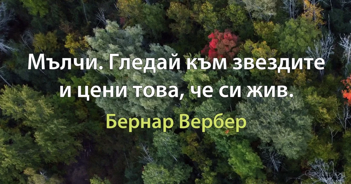 Мълчи. Гледай към звездите и цени това, че си жив. (Бернар Вербер)