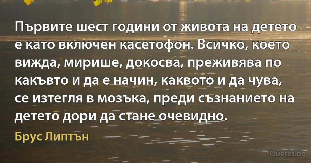 Първите шест години от живота на детето е като включен касетофон. Всичко, което вижда, мирише, докосва, преживява по какъвто и да е начин, каквото и да чува, се изтегля в мозъка, преди съзнанието на детето дори да стане очевидно. (Брус Липтън)