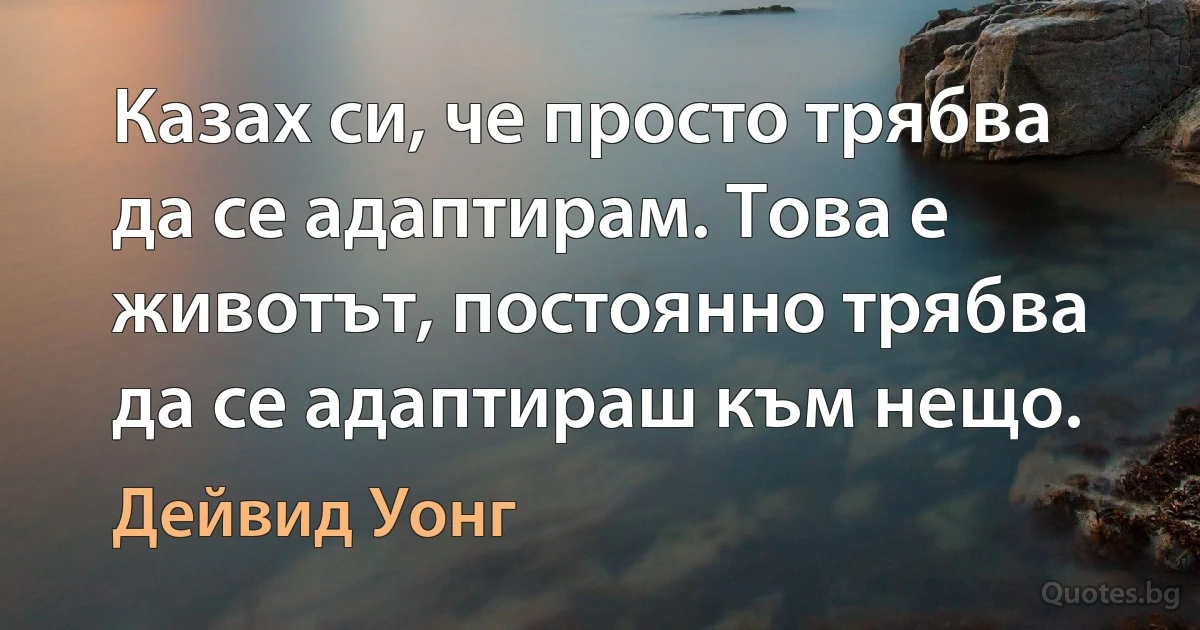 Казах си, че просто трябва да се адаптирам. Това е животът, постоянно трябва да се адаптираш към нещо. (Дейвид Уонг)