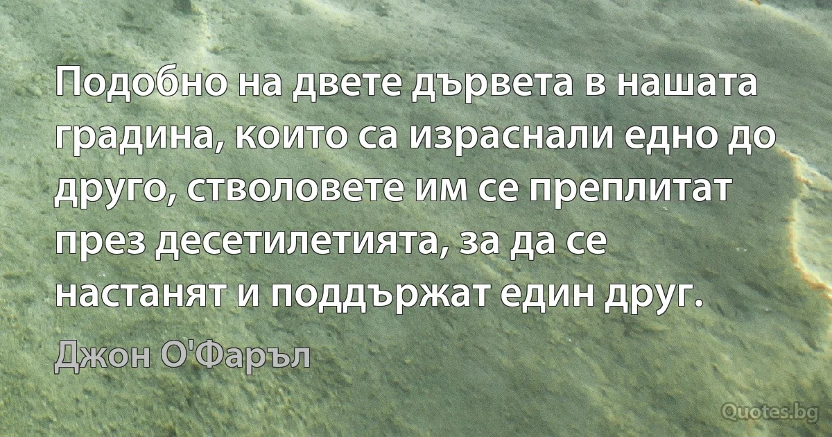 Подобно на двете дървета в нашата градина, които са израснали едно до друго, стволовете им се преплитат през десетилетията, за да се настанят и поддържат един друг. (Джон О'Фаръл)