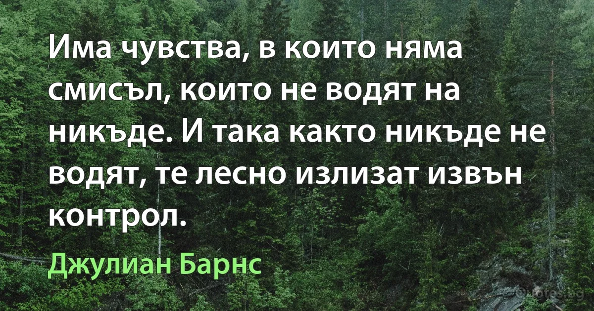 Има чувства, в които няма смисъл, които не водят на никъде. И така както никъде не водят, те лесно излизат извън контрол. (Джулиан Барнс)