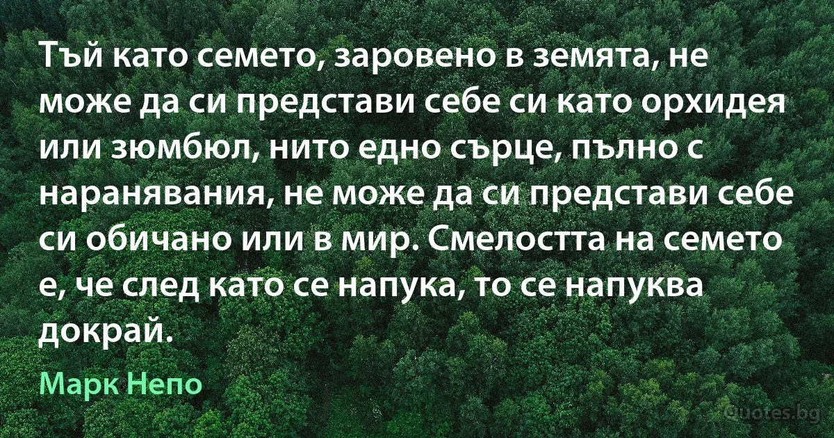 Тъй като семето, заровено в земята, не може да си представи себе си като орхидея или зюмбюл, нито едно сърце, пълно с наранявания, не може да си представи себе си обичано или в мир. Смелостта на семето е, че след като се напука, то се напуква докрай. (Марк Непо)