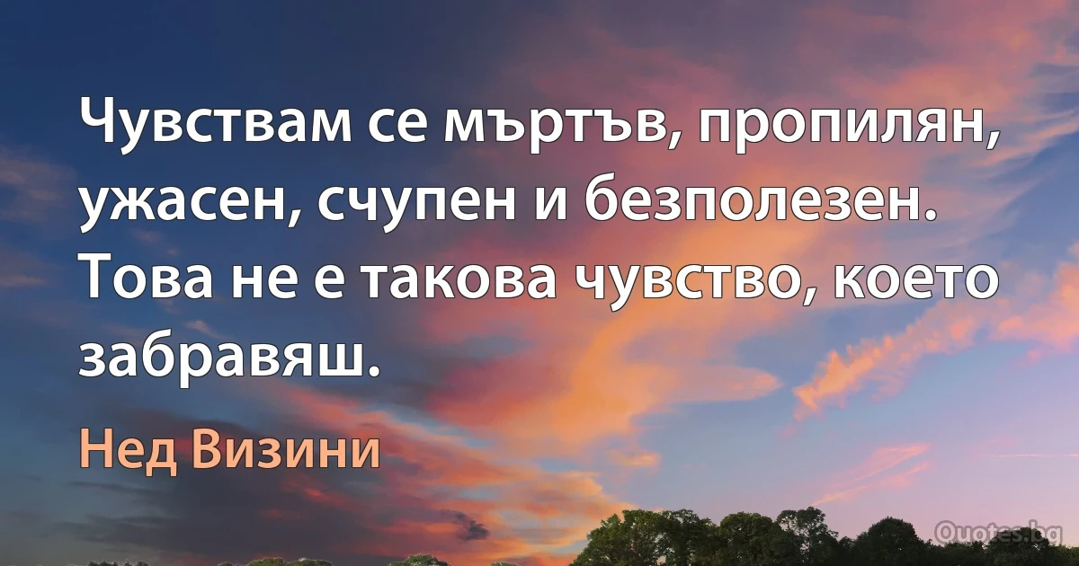 Чувствам се мъртъв, пропилян, ужасен, счупен и безполезен. Това не е такова чувство, което забравяш. (Нед Визини)