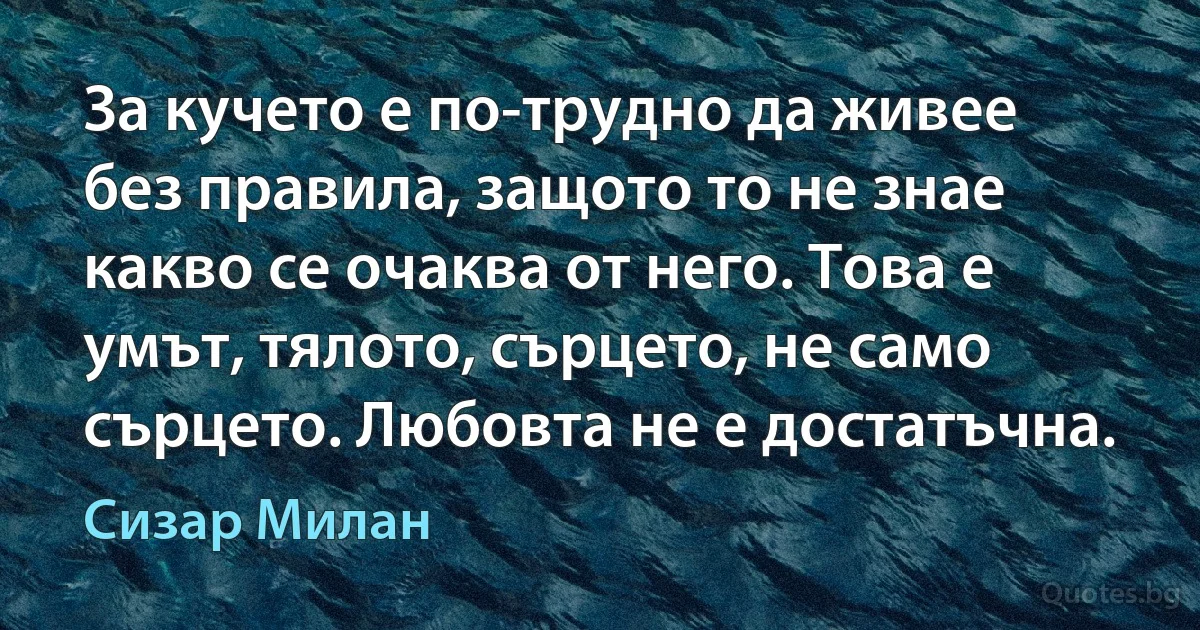 За кучето е по-трудно да живее без правила, защото то не знае какво се очаква от него. Това е умът, тялото, сърцето, не само сърцето. Любовта не е достатъчна. (Сизар Милан)