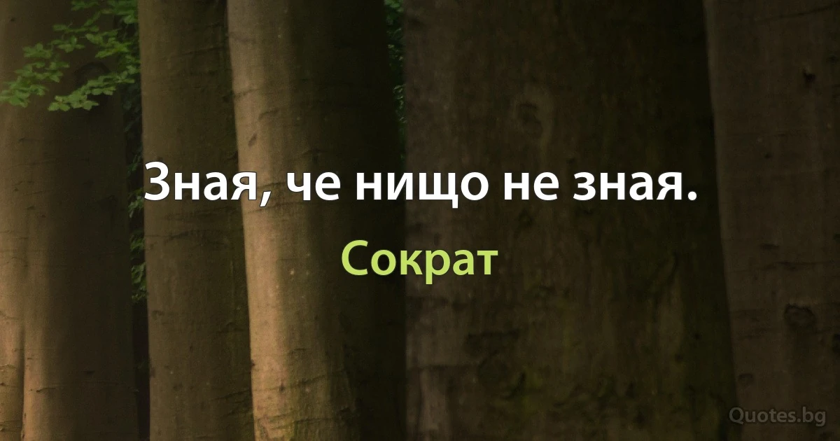 Зная, че нищо не зная. (Сократ)