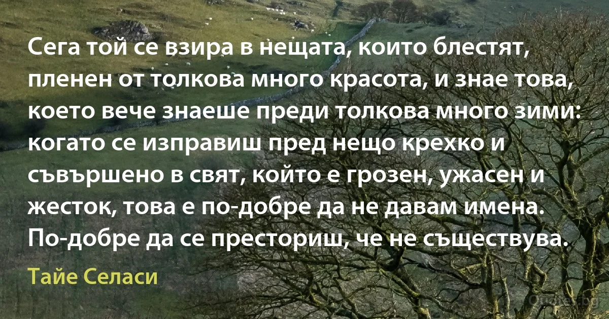 Сега той се взира в нещата, които блестят, пленен от толкова много красота, и знае това, което вече знаеше преди толкова много зими: когато се изправиш пред нещо крехко и съвършено в свят, който е грозен, ужасен и жесток, това е по-добре да не давам имена. По-добре да се престориш, че не съществува. (Тайе Селаси)