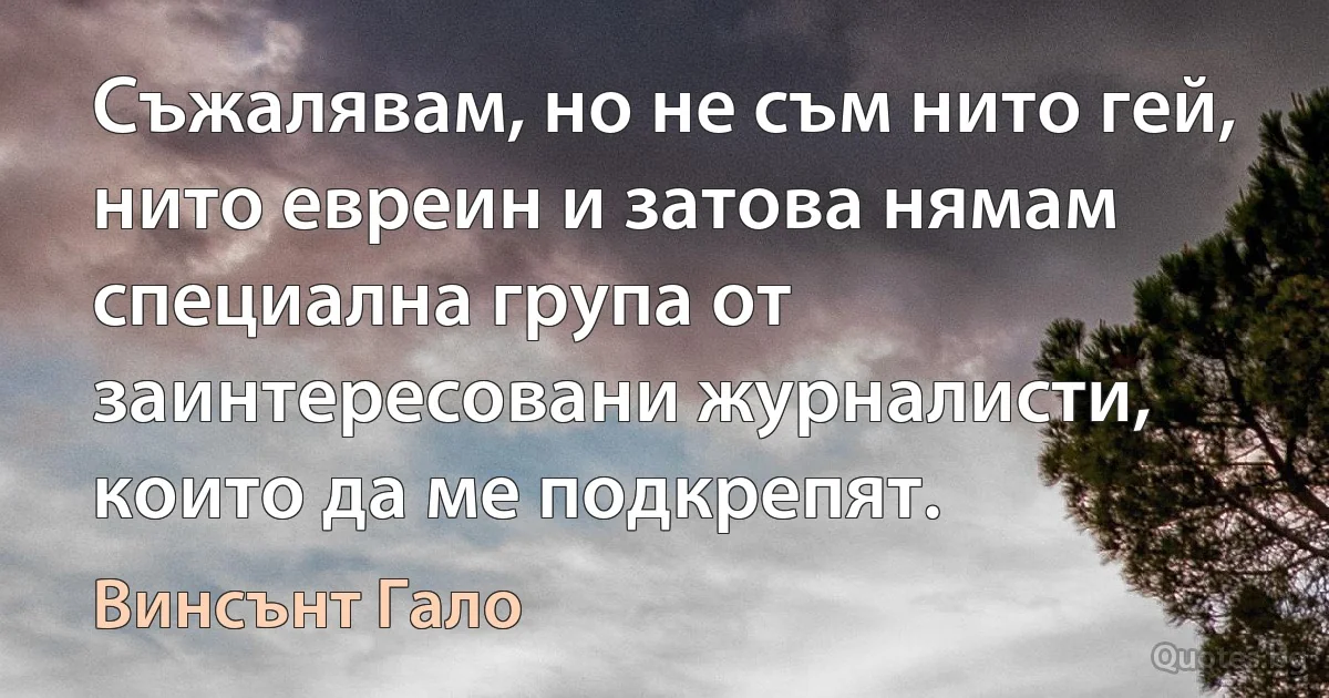 Съжалявам, но не съм нито гей, нито евреин и затова нямам специална група от заинтересовани журналисти, които да ме подкрепят. (Винсънт Гало)