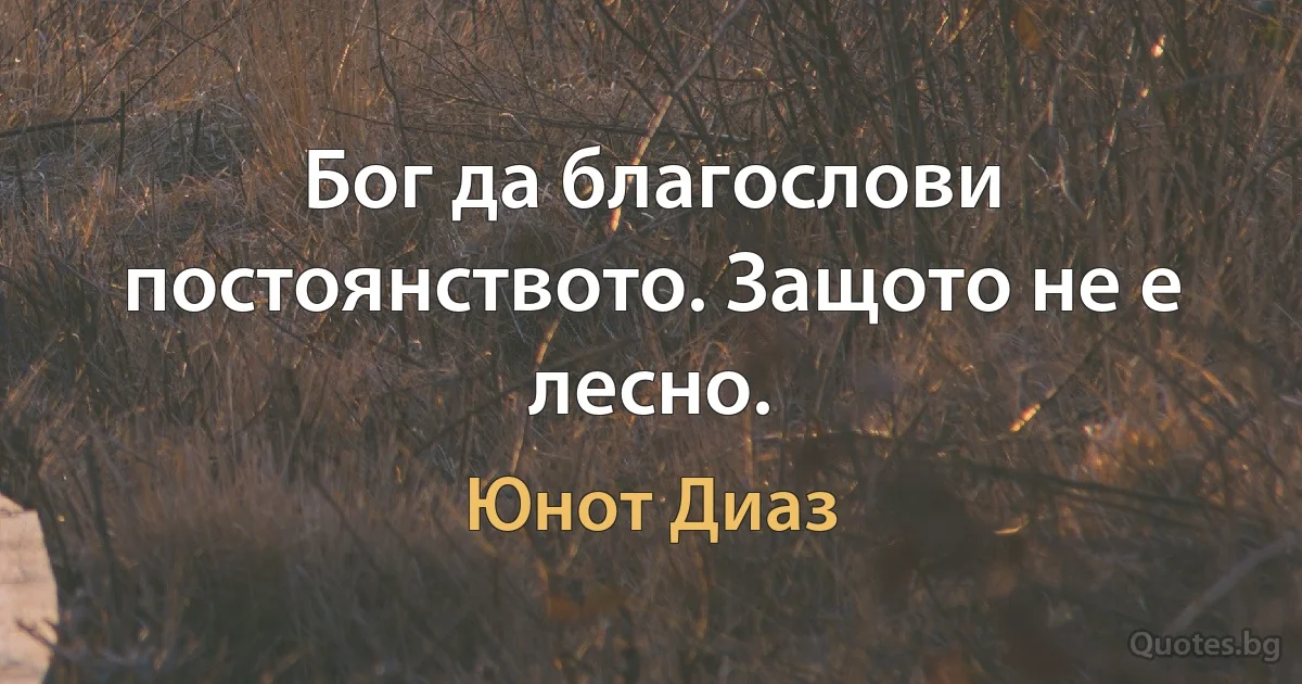 Бог да благослови постоянството. Защото не е лесно. (Юнот Диаз)