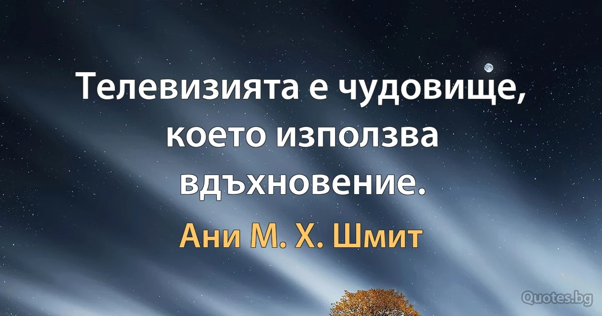 Телевизията е чудовище, което използва вдъхновение. (Ани М. Х. Шмит)