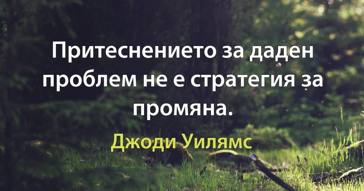 Притеснението за даден проблем не е стратегия за промяна. (Джоди Уилямс)