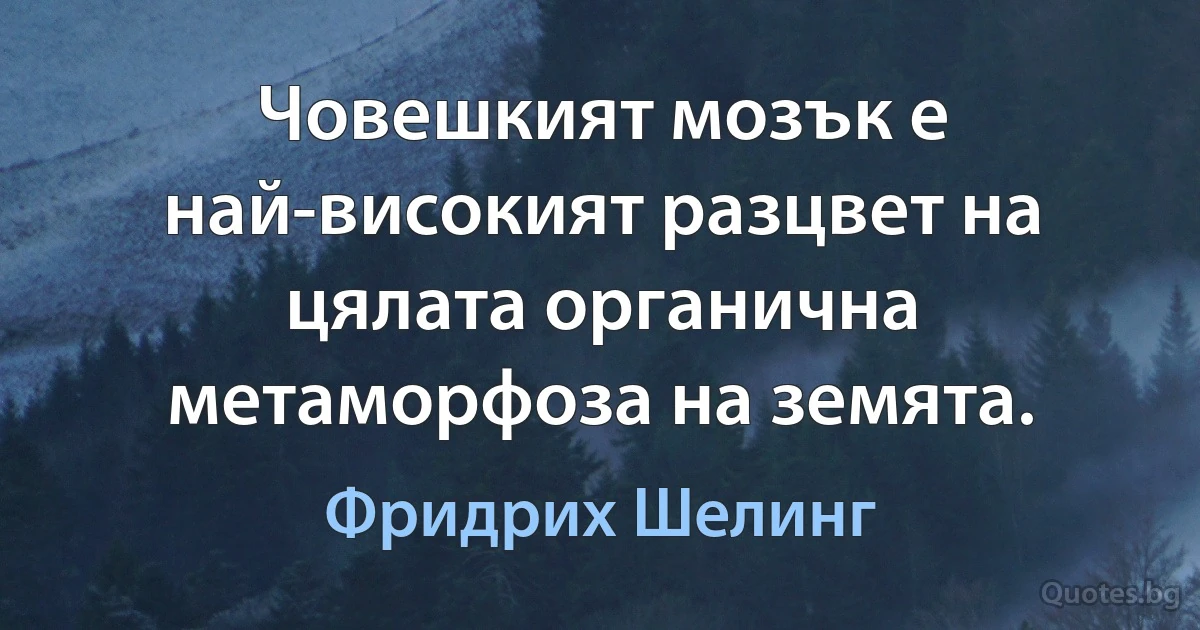 Човешкият мозък е най-високият разцвет на цялата органична метаморфоза на земята. (Фридрих Шелинг)