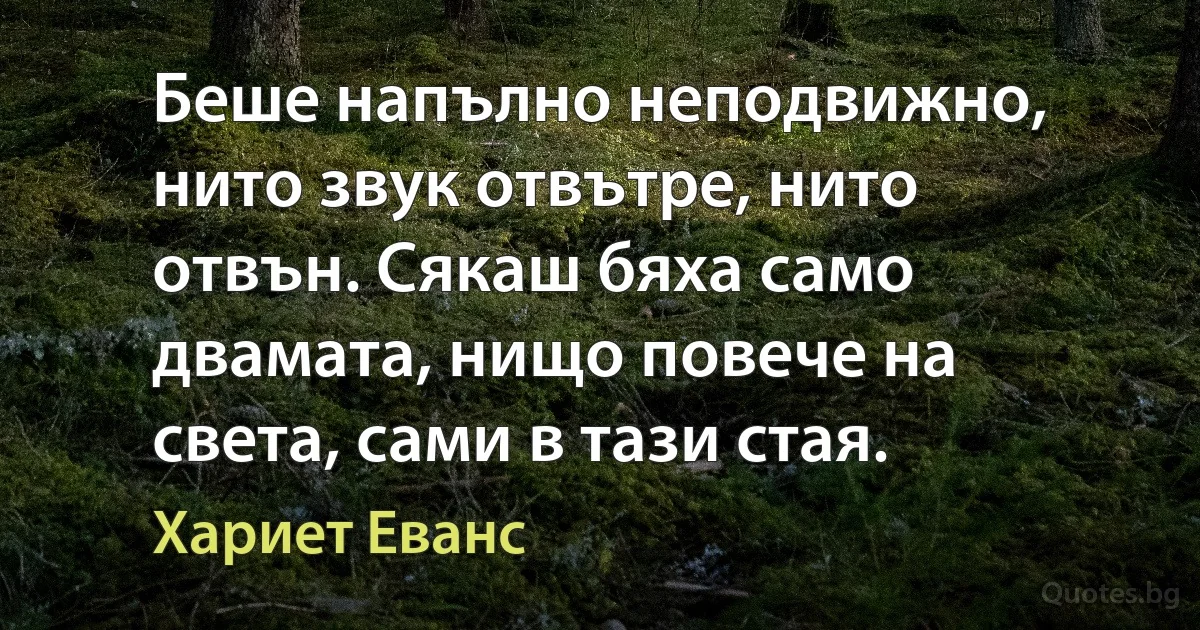 Беше напълно неподвижно, нито звук отвътре, нито отвън. Сякаш бяха само двамата, нищо повече на света, сами в тази стая. (Хариет Еванс)