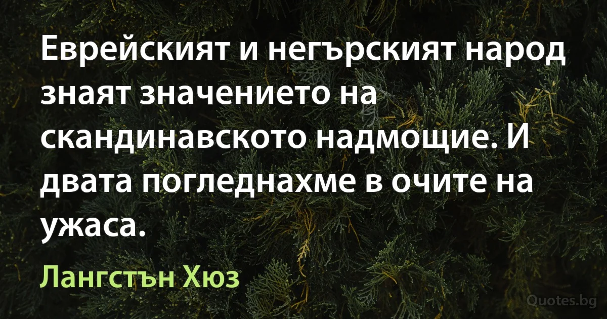 Еврейският и негърският народ знаят значението на скандинавското надмощие. И двата погледнахме в очите на ужаса. (Лангстън Хюз)